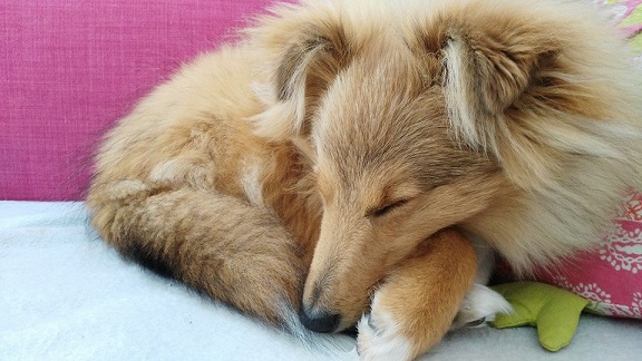 10.04.2015, 6 Monate alt