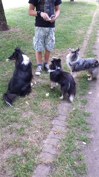 l.: Coffee / M.: Abby / r.: Kiara