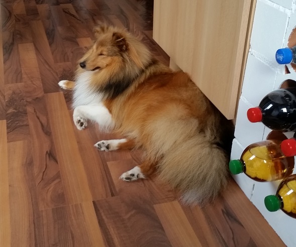 18.09.2015, 11 Monate alt