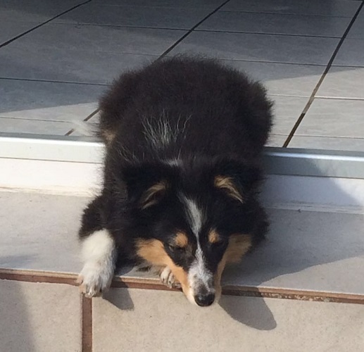 31.07.2016, 3 Monate alt