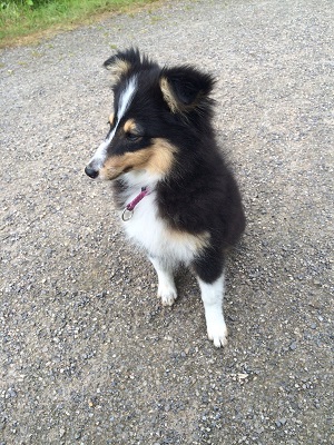 31.07.2016, 3 Monate alt