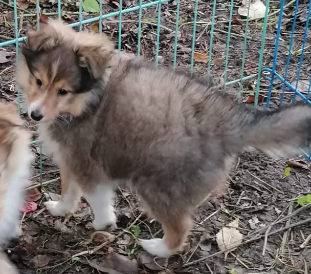 18.12.2020 / 8 Wochen u. 5 Tage alt.