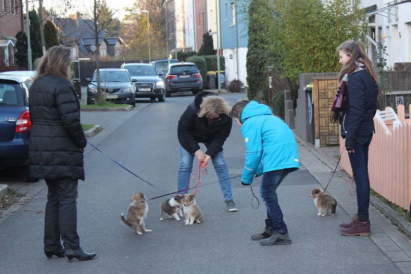 links: GINO / mitte: Gilly / rechts: GINA / ganz rechts: Ginger