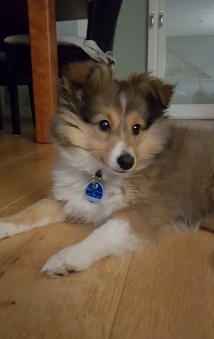 07.01.2021 / 11 Wochen u. 4 Tage alt